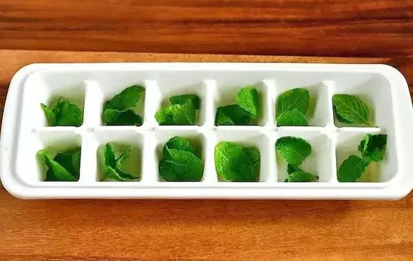 材料2つだけ！　管理栄養士が氷の中に入れたのは…「暑い日にピッタリ」「アイスティーに合う」