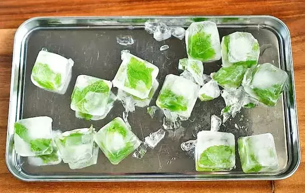 材料2つだけ！　管理栄養士が氷の中に入れたのは…「暑い日にピッタリ」「アイスティーに合う」