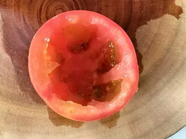 トマトをくりぬいて…15分で作れる一皿が「トロっとしておいしい」