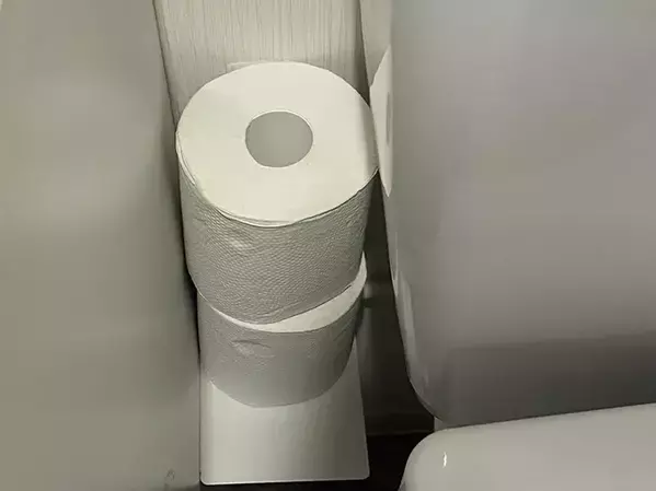 トイレのデッドスペースに『浮かせる収納』　100均アイテム2種を生かすと「手間が減った！」