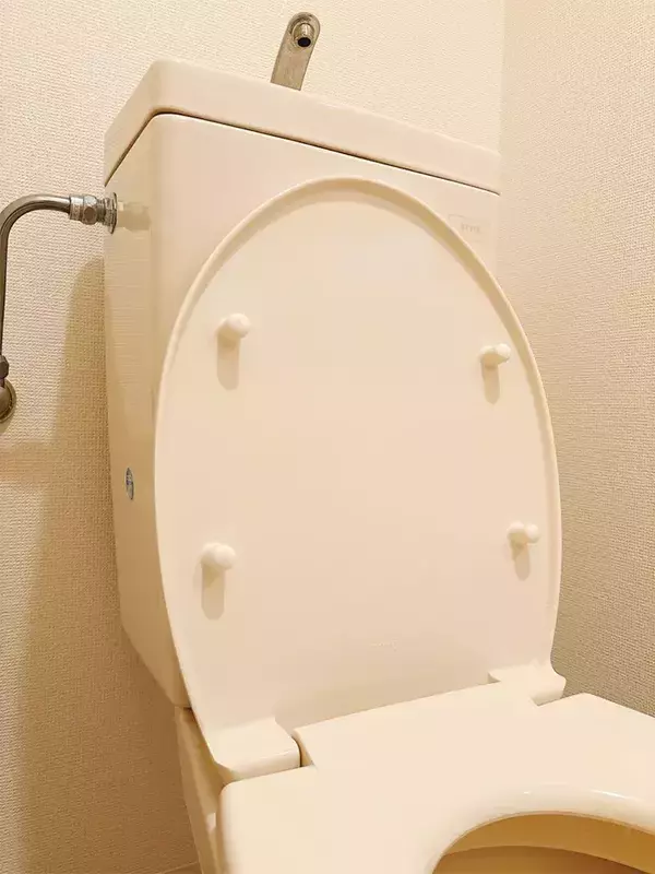 トイレの蓋の裏に“シール”を貼ると？　うるさい音の改善方法に「やっぱりやってよかった」