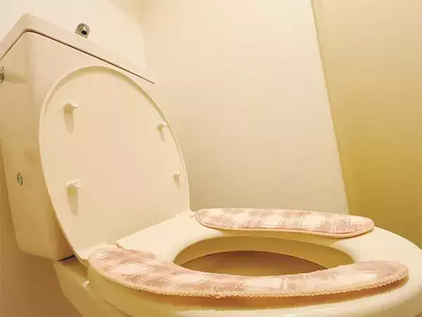 トイレの蓋の裏に“シール”を貼ると？　うるさい音の改善方法に「やっぱりやってよかった」