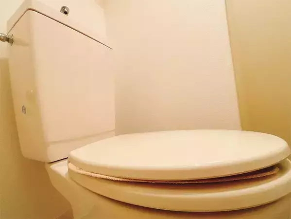 トイレの蓋の裏に“シール”を貼ると？　うるさい音の改善方法に「やっぱりやってよかった」