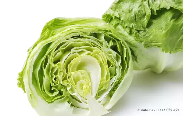 たくさん買ったレタス、すぐ食べないなら…　JA全農長野が“正しい保存法”を解説