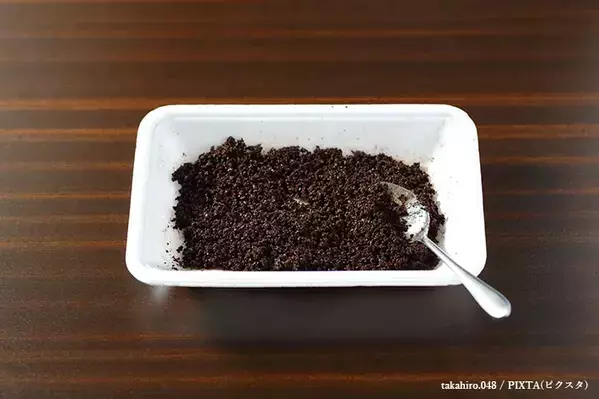 農薬代0円！　家にある素材でできるプロ直伝の害虫対策5選