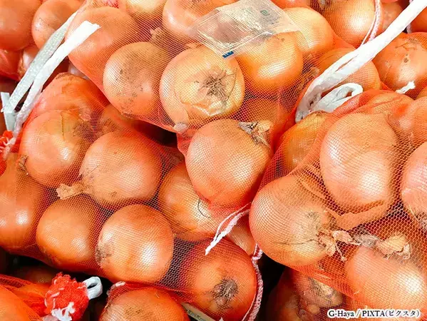 農薬代0円！　家にある素材でできるプロ直伝の害虫対策5選