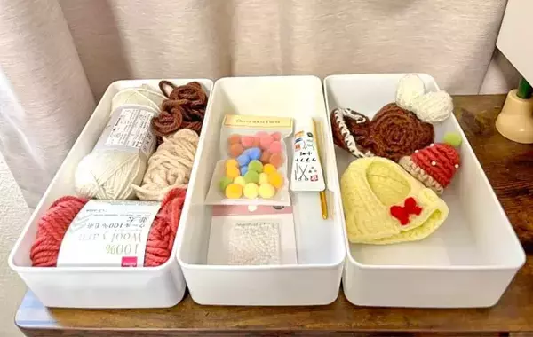 粘土は入れません！　ダイソー『ねんどケース』の意外な使い道【ダイソー取材】