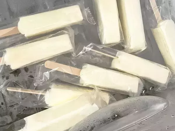 買ったアイス、そのまま冷凍庫に入れるの待った！　保存の注意点をプロが解説