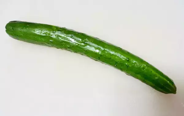キュウリに小さじ1杯加えてみて！　5分で完成“簡単おかず”レシピ