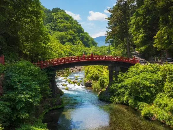 夏休みのホテル代、多く払いすぎてない？　旅行費用を抑られるポイントをプロに聞いた