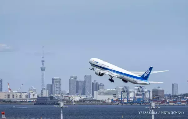 夏休みの航空券予約はいつから始める？　プロが教える費用を抑えるコツ