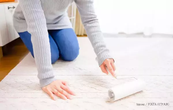 カーペット、水拭きして大丈夫？NG？　プロが教える、自宅でできる簡単なお手入れ方法
