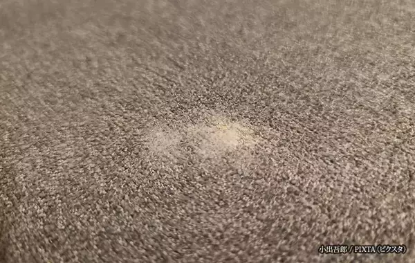 カーペット、水拭きして大丈夫？NG？　プロが教える、自宅でできる簡単なお手入れ方法