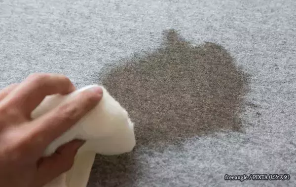カーペット、水拭きして大丈夫？NG？　プロが教える、自宅でできる簡単なお手入れ方法