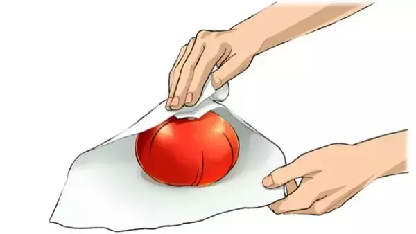 ナス、そのまま野菜室に入れるの待った！　カゴメが教える保存方法の『正解』