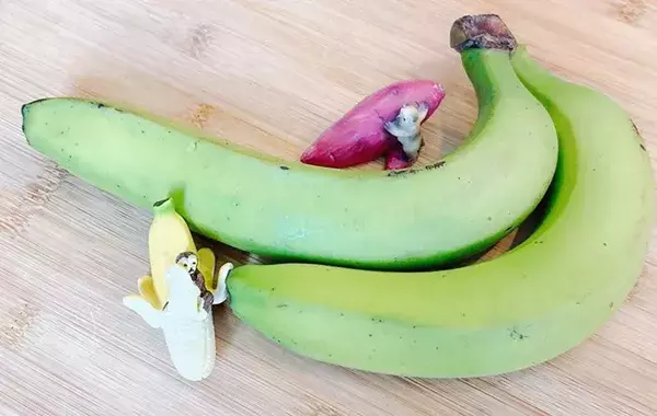 まだ硬いバナナ、どうしてる？　ちょっと意外な食べ方に「子供たちがハマった！」