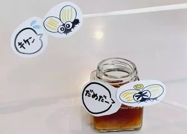 キッチンのコバエが激減！　『めんつゆ×食器用洗剤』を混ぜて置いたら…「めっちゃ捕れた！」