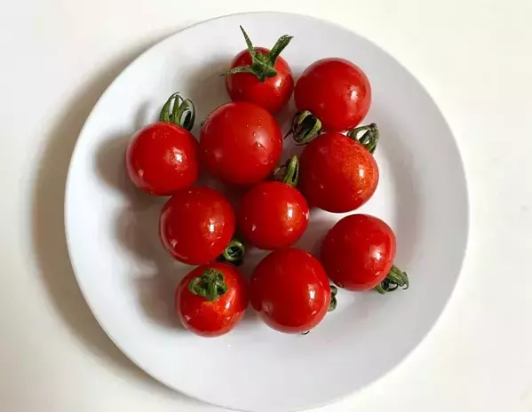 ビニール袋1枚で作る！　丸ごと凍らすだけ「ミニトマトのおやつ」に子供が大喜び
