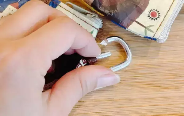 カルディ『手のひらサイズのミニバッグ』に一目惚れ！　活用ワザに「これ、ちょうどいい！」