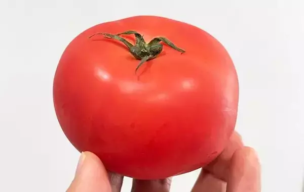 トマトを丸ごと『カチカチに凍らせる』と…？　そうめんが激変する裏技に「かき氷みたいで最高」