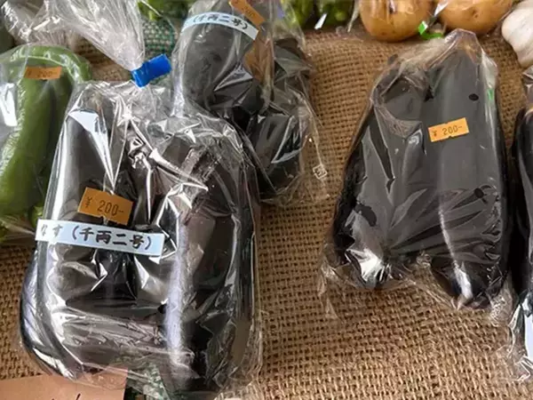 「ナスのヘタ、めくってみて！」　農家が教える『新鮮なナス』の見分け方