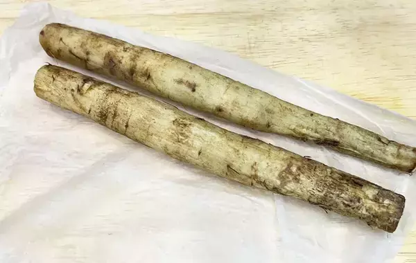 ゴボウはレンジに入れて！　包丁いらずで細かくほぐせる裏技に「これは便利」