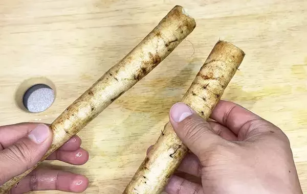 ゴボウはレンジに入れて！　包丁いらずで細かくほぐせる裏技に「これは便利」