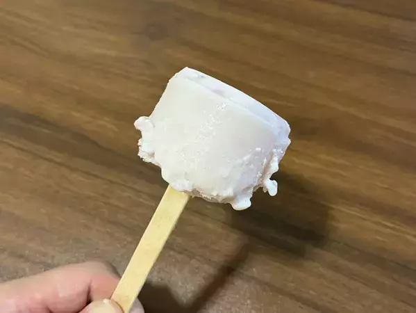 ヨーグルトにアイス棒1本をブスッ！　冷凍庫に入れるだけで、絶品スイーツが作れる