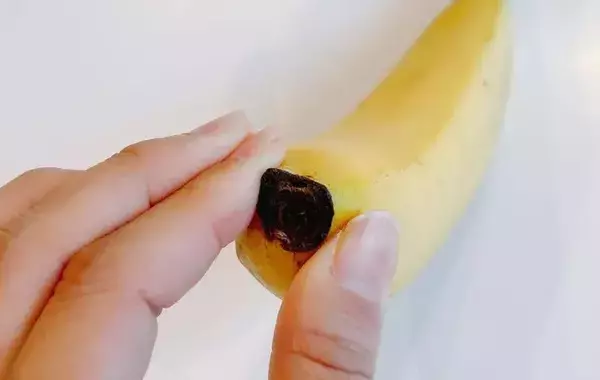 バナナはヘタから剥かないで！　反対側から剥いた結果に「食べやすい」「子供も喜ぶ！」