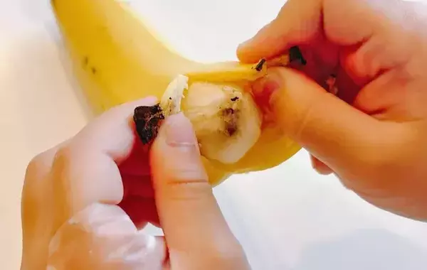 バナナはヘタから剥かないで！　反対側から剥いた結果に「食べやすい」「子供も喜ぶ！」