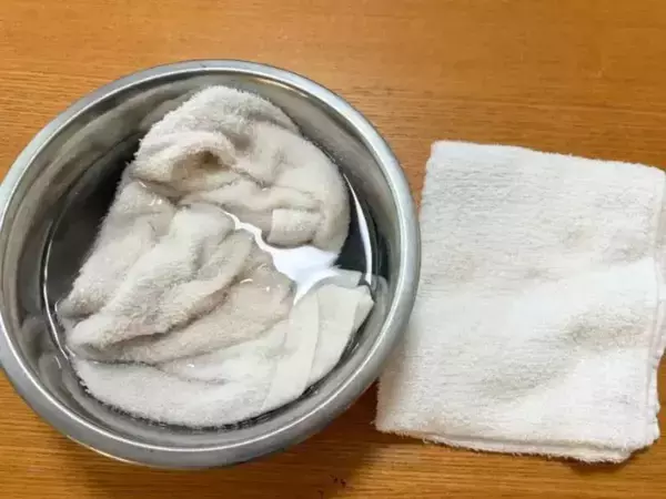 「扇風機＋濡れタオル」は本当に涼しくなるの？　試した20分後の室温が、こちら