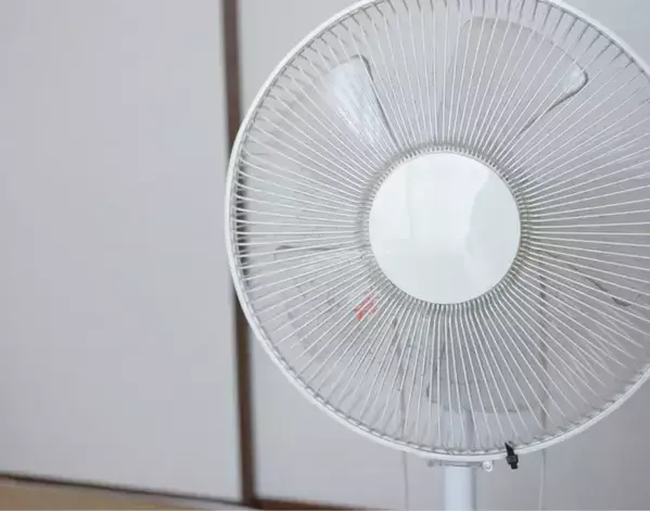 扇風機カバー、雑巾だけで拭くの待った！　スポンジに切り込みを入れると…【夏家電のお手入れ4選】