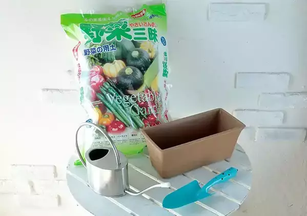 「小松菜やレタスは初心者向け」　家庭菜園を始めるなら９月～１０月がチャンス