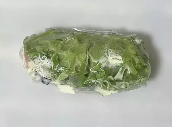 ライスペーパーをトースターで焼く！　10分後の変化に「かぶりつくのがオススメ」「ランチにいい」