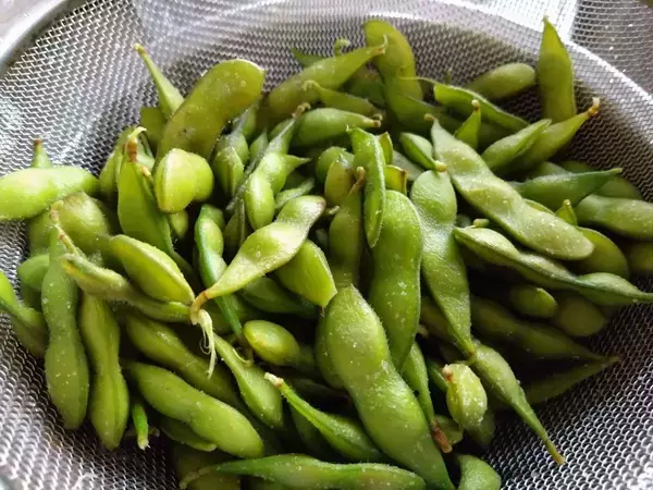 枝豆をゆでる時、水は使いません！　麦茶を使ってみた一口目が…【調理テク4選】