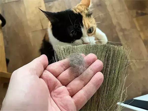 ほうきに靴下をかぶせたら…？　「玄関掃除が変わった」と評判の3つの活用法