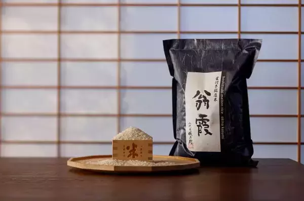 残ったご飯、ラップだけで冷凍してない？　米のプロおすすめの保存方法は