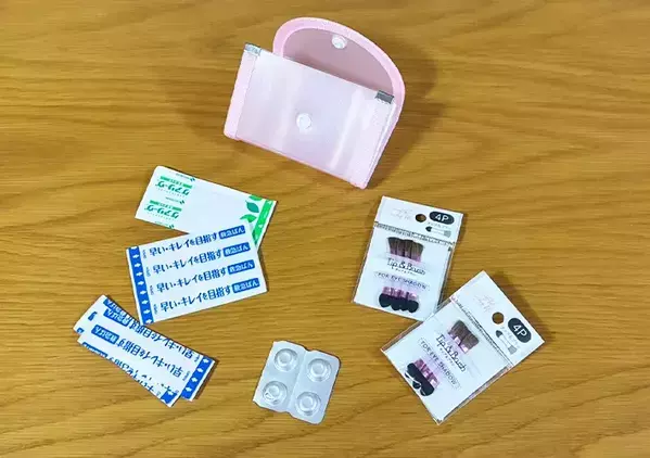 セリアのミニドキュメントファイル　カバン整理に使ったら「想像以上だった」