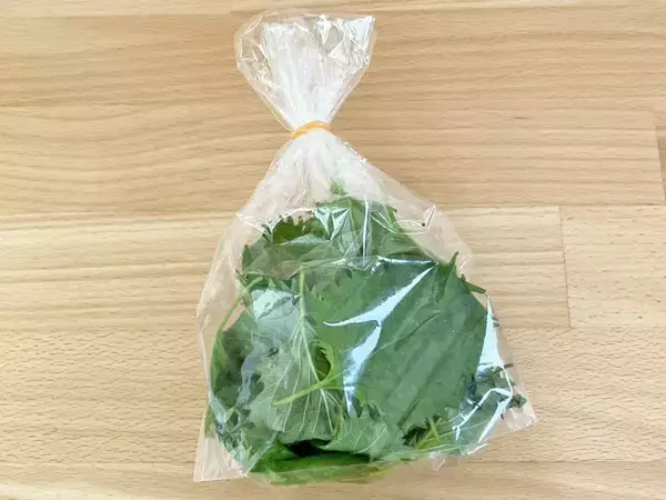 夏に食べたい大葉が「2週間も長持ち」！　プロが教える保存ワザが、こちら