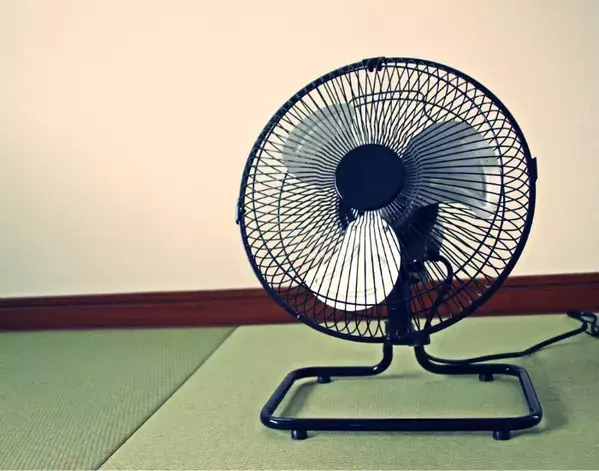 エアコンの冷気は下にたまるから…　『サーキュレーター』を置くべき場所とは【節電テク4選】