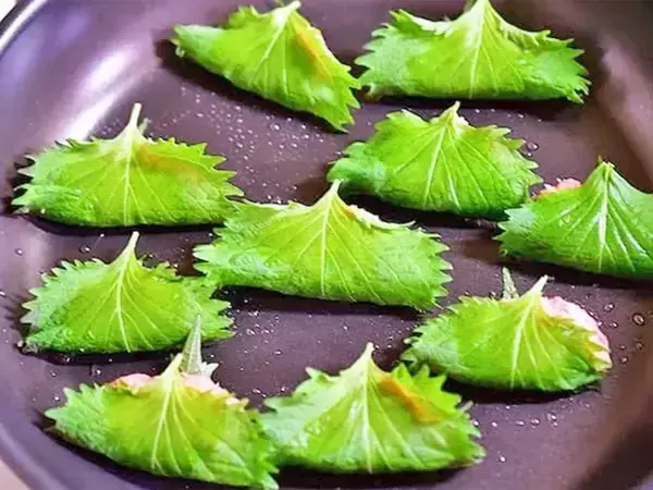 豚ひき肉を大葉で挟むだけ！　できた夏の簡単おかずに「餃子の皮いらず」「タレなしでもいい」【管理栄養士が実践】
