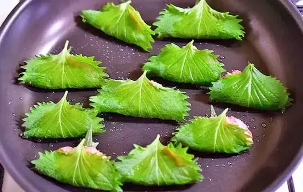 豚ひき肉を大葉で挟むだけ！　できた夏の簡単おかずに「餃子の皮いらず」「タレなしでもいい」【管理栄養士が実践】