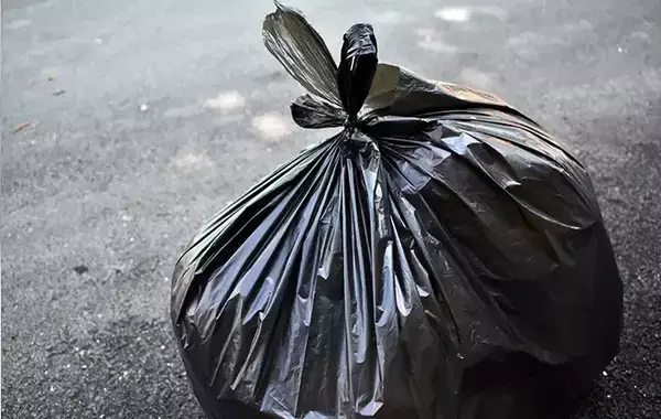 ベランダのクモの巣、いきなり払ってない？　掃除のNG行動をプロに聞いた