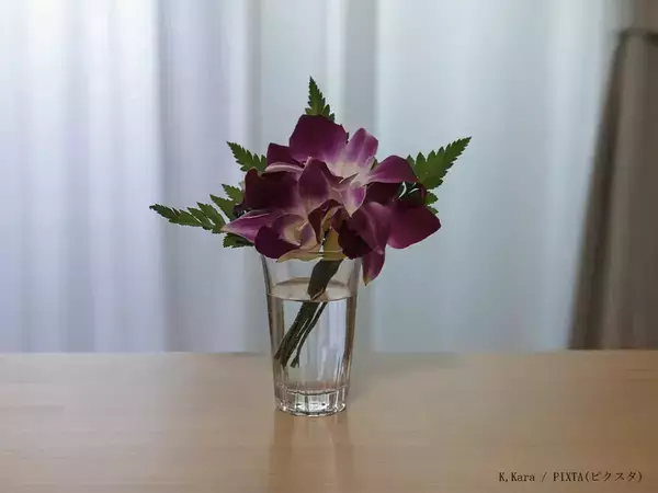 夏場に傷みやすい切り花、“長持ち”させるには？　『正しいお手入れ』をプロに聞いた