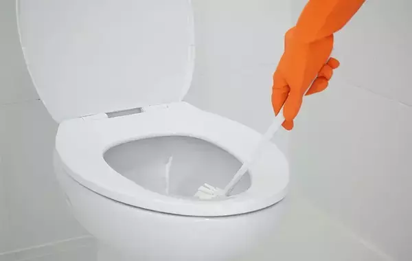 使ったトイレブラシ、濡れたままにしてない？　ジョンソンが教える『正しい保管方法』