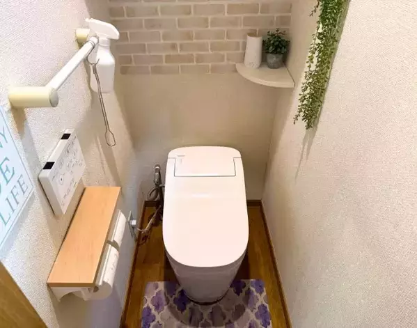 トイレブラシはもう洗いません！　そのまま流せるダイソーのアイテムが超優秀
