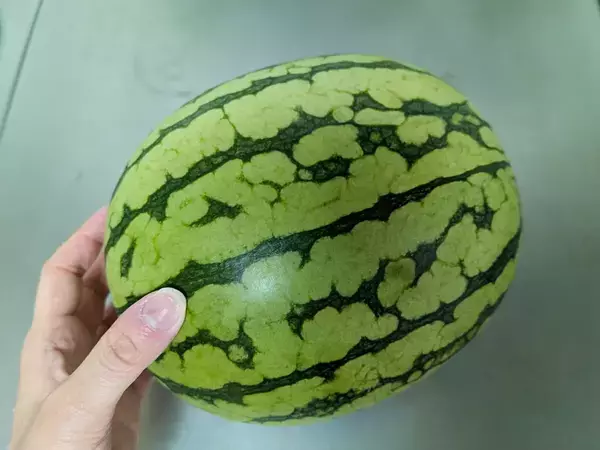 スイカの皮、まだ捨ててる？　まさかの食べ方に目からウロコ！【萩原農場のレシピ】