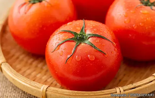 まとめ買いした夏野菜、『冷やしすぎは要注意』　農園が教える「保存のコツ」とNG行動