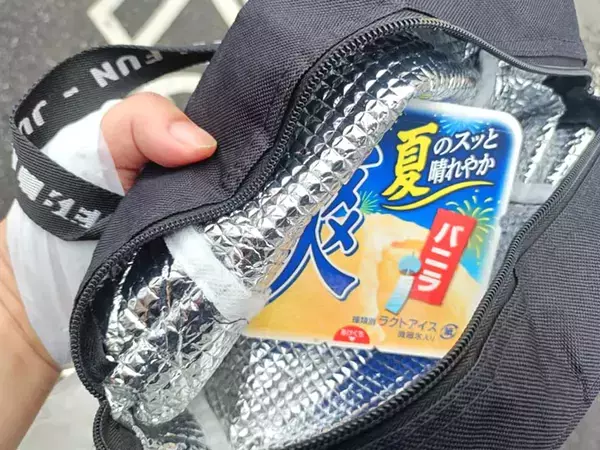 「アイスを溶かさずに持ち帰りたい」　ロッテに聞いたライフハックを試してみた！