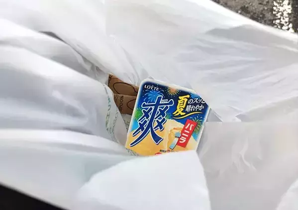 「アイスを溶かさずに持ち帰りたい」　ロッテに聞いたライフハックを試してみた！